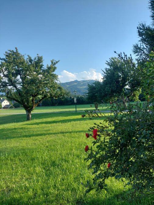 Apartamento Aignerhof Flachau Exterior foto